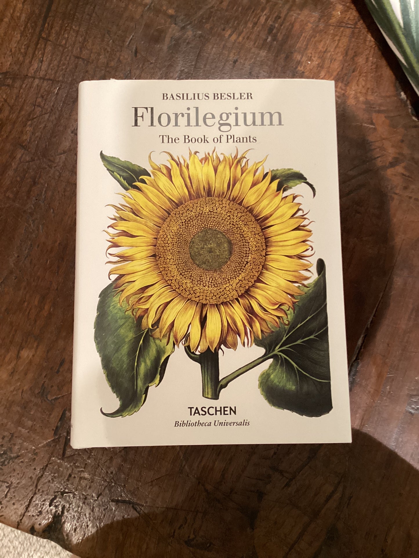 Florilegium: The Book of Plants