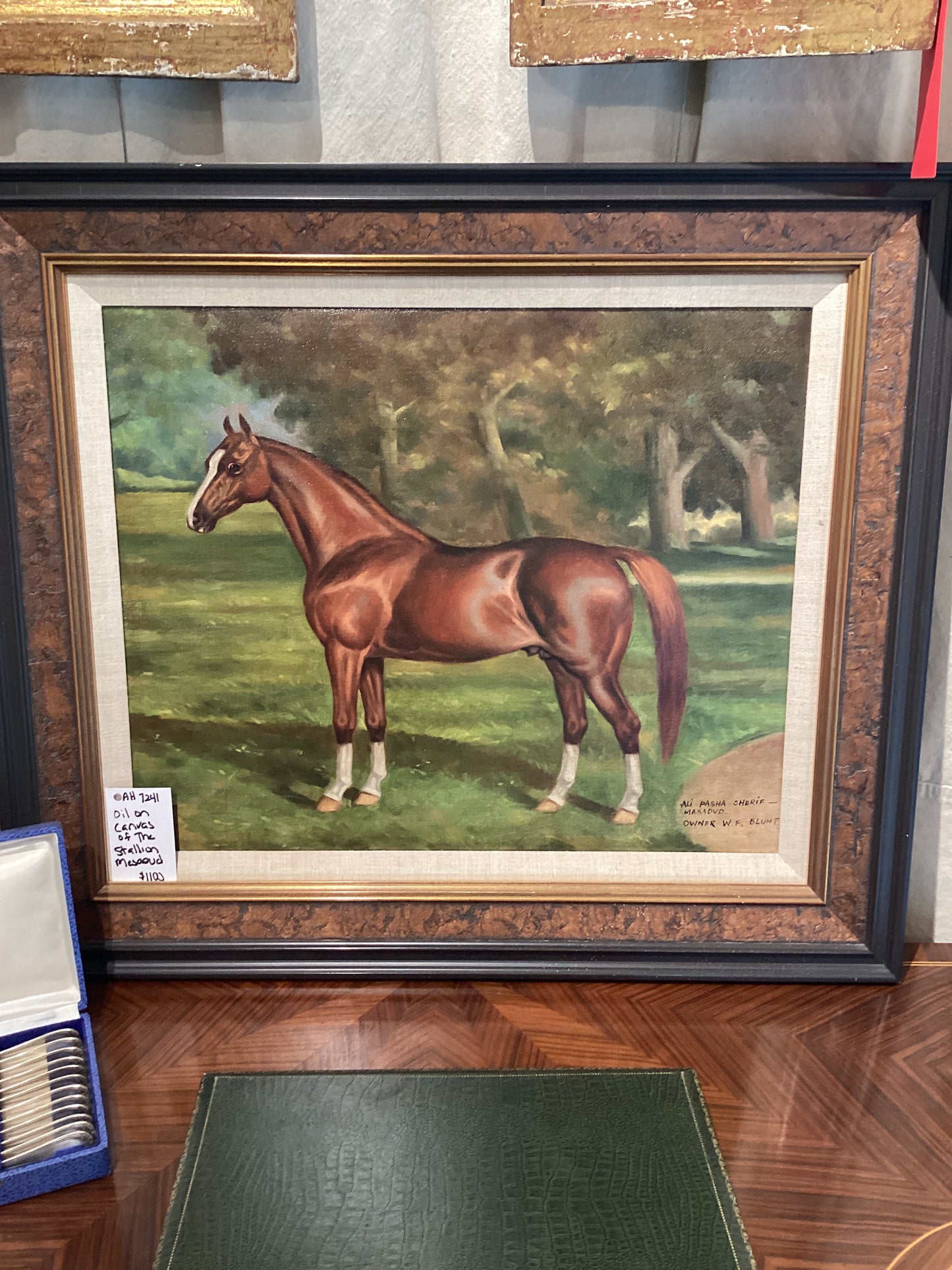 Stallion Mesaoud