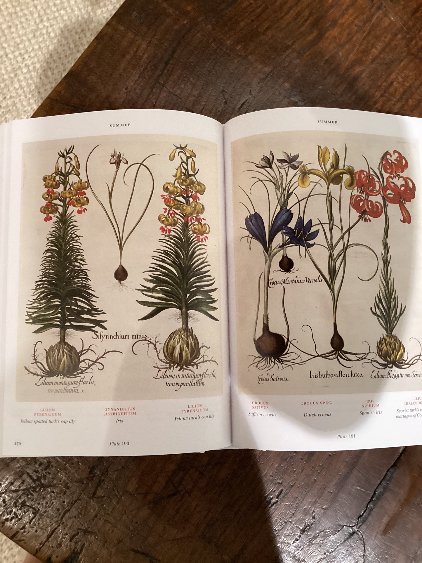 Florilegium: The Book of Plants