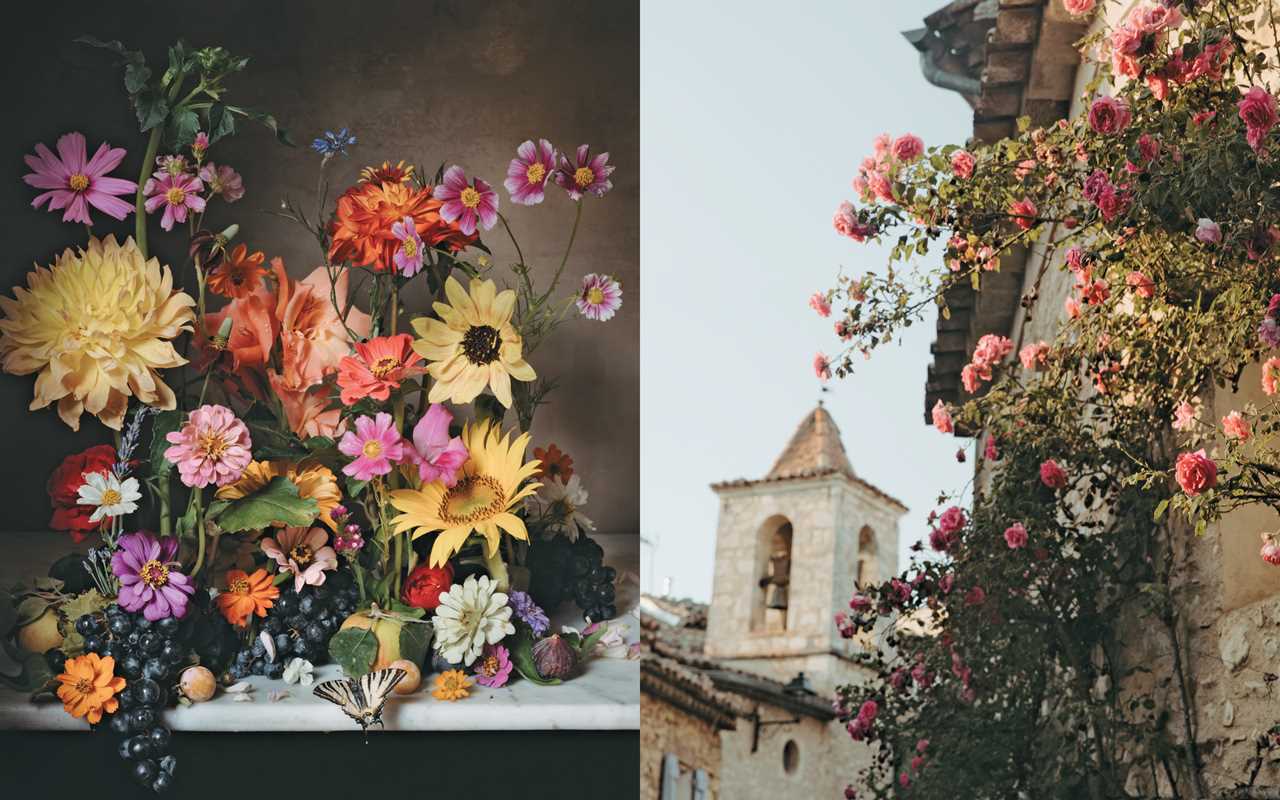 Flowers of Provence by Jamie Beck: Hardcover; 304 pages / English