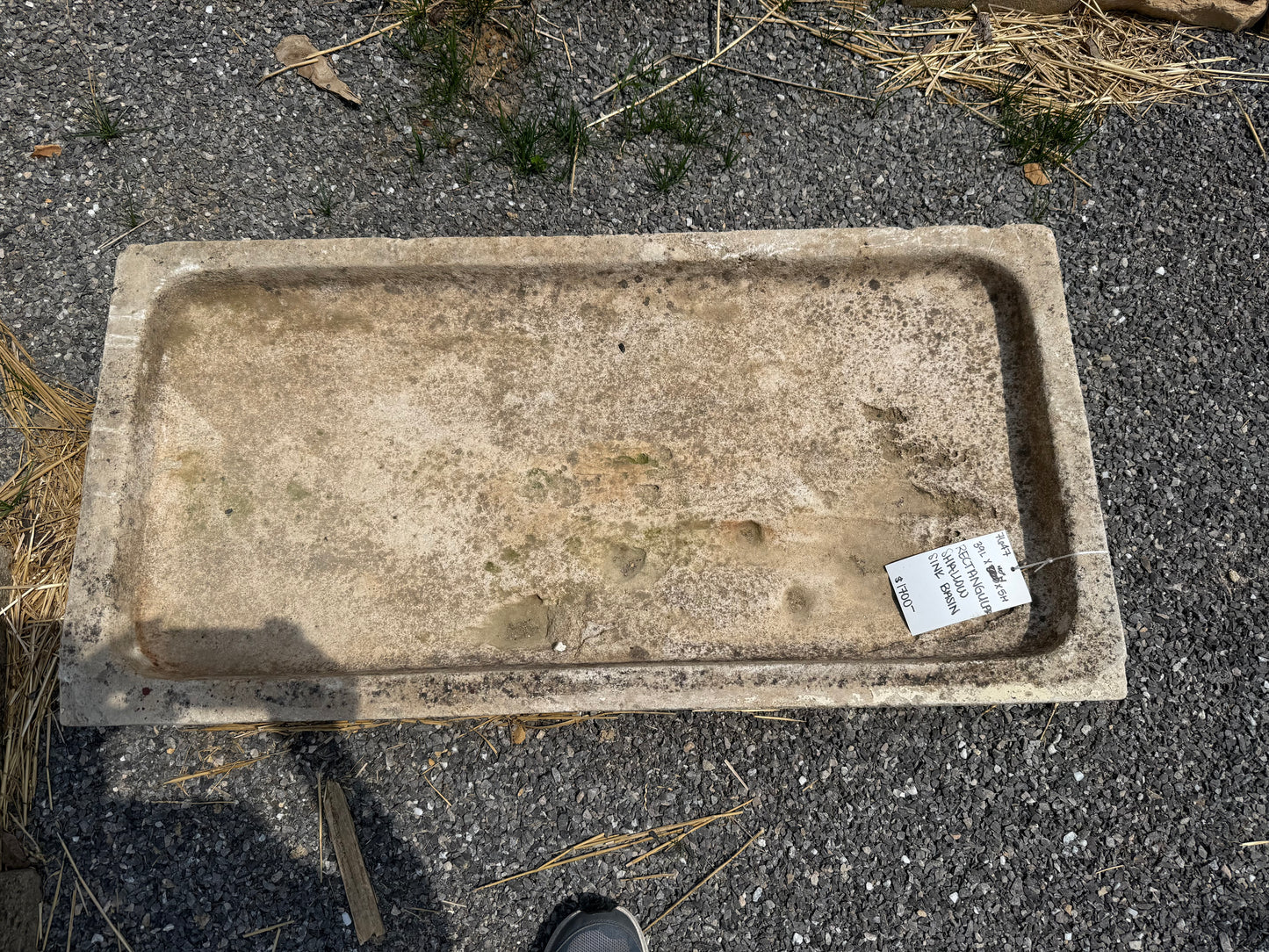 Sink Basin