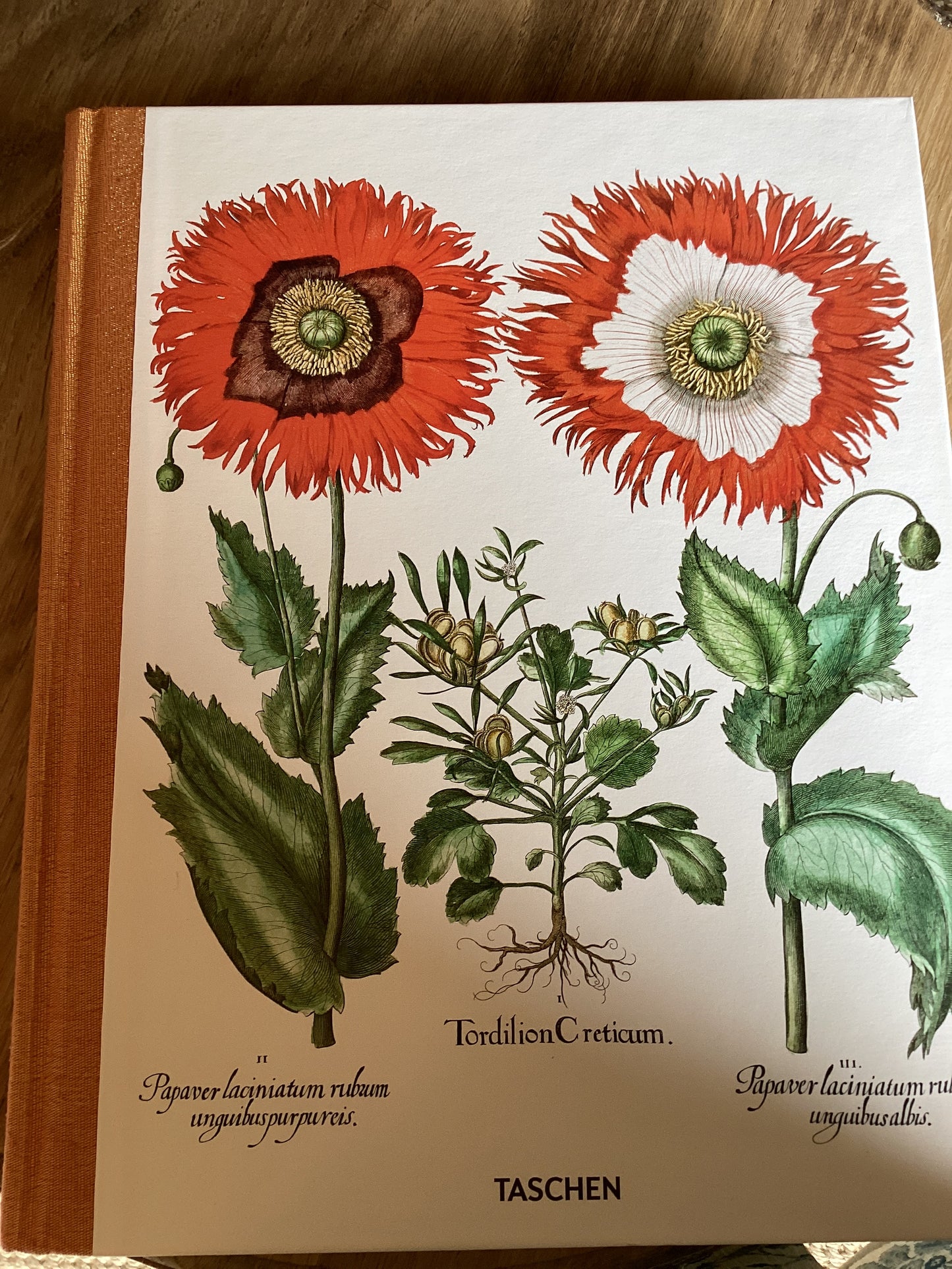 Botanical Box Set