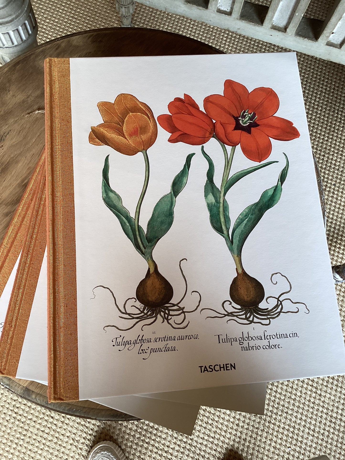Botanical Box Set