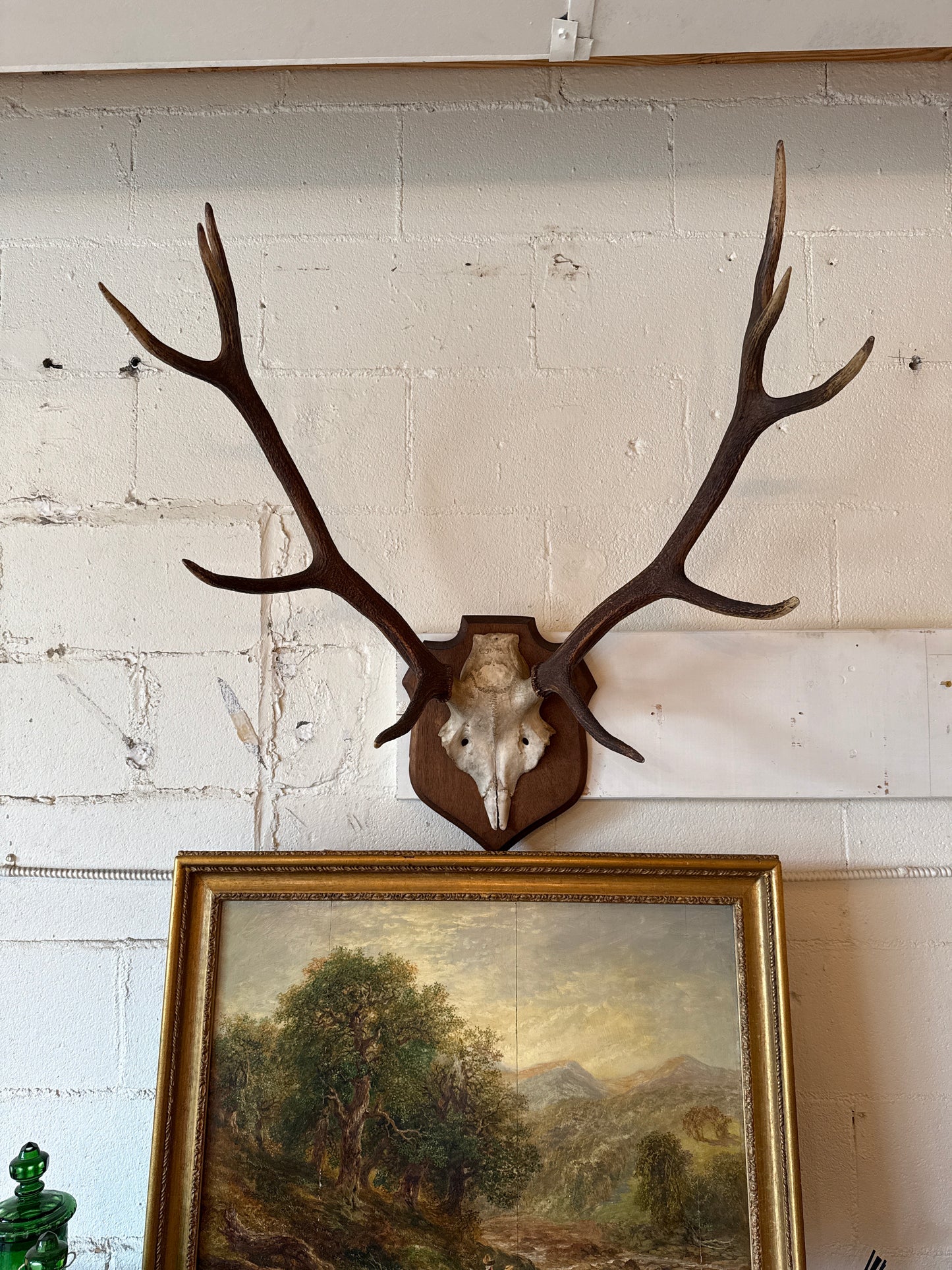 Antique Mounted Antlers w/ Wooden Shield Plaque