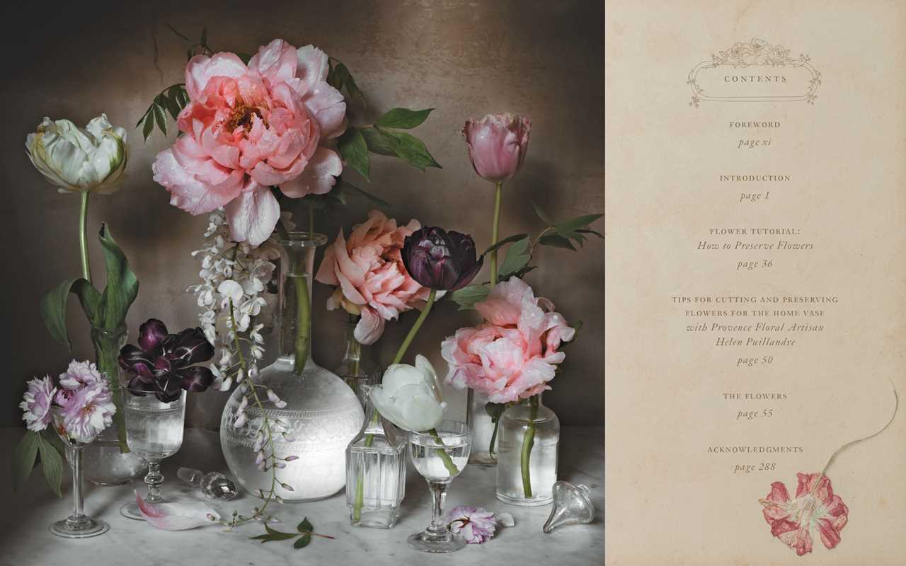 Flowers of Provence by Jamie Beck: Hardcover; 304 pages / English