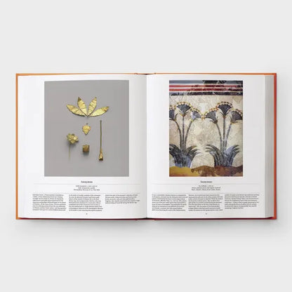 Flower: Exploring the World in Bloom