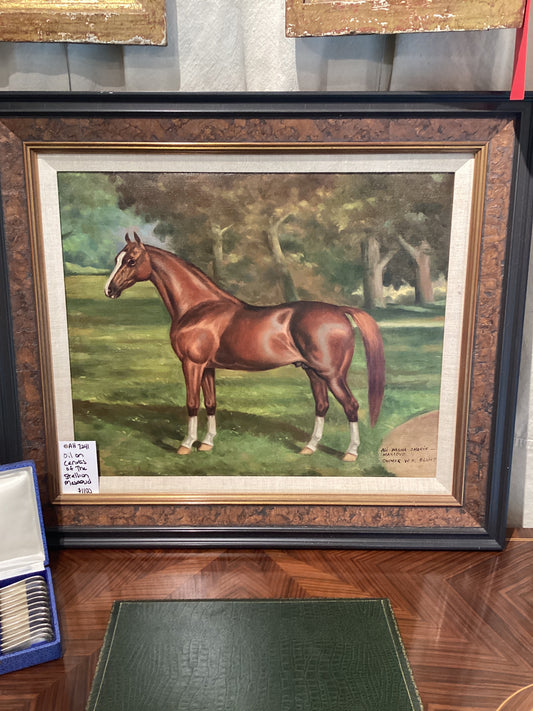 Stallion Mesaoud