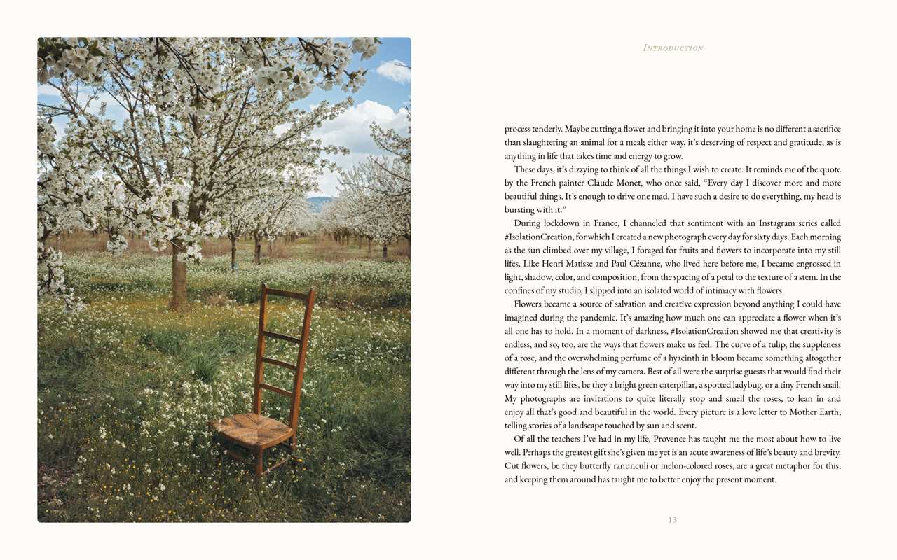Flowers of Provence by Jamie Beck: Hardcover; 304 pages / English