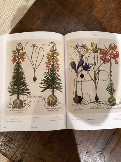 Florilegium: The Book of Plants