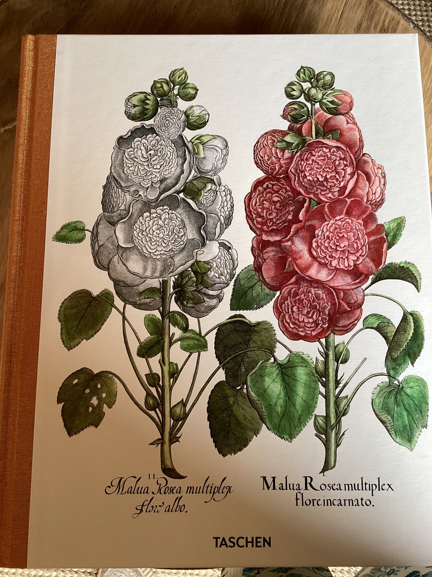 Botanical Box Set