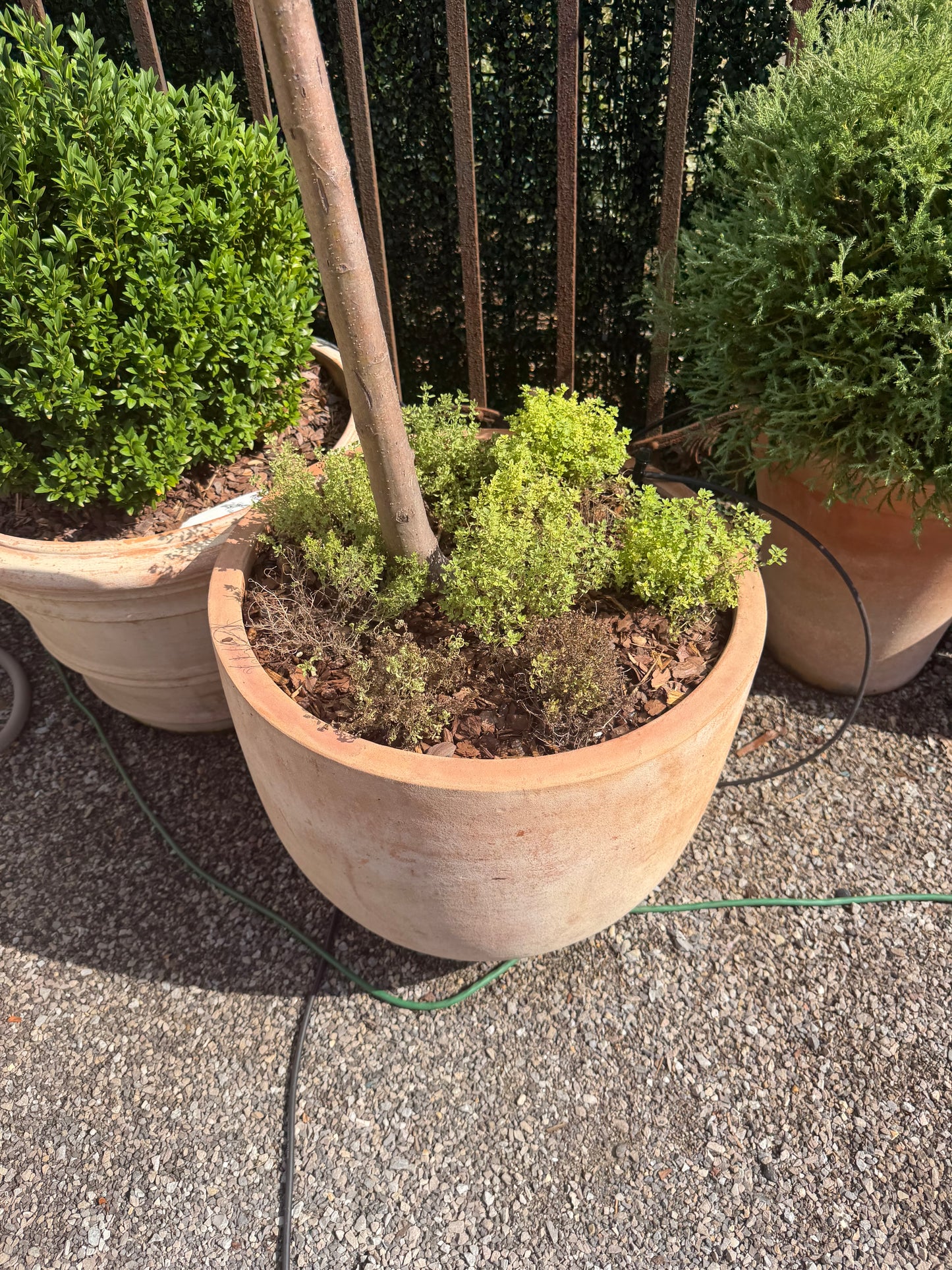 Causago Round Planter