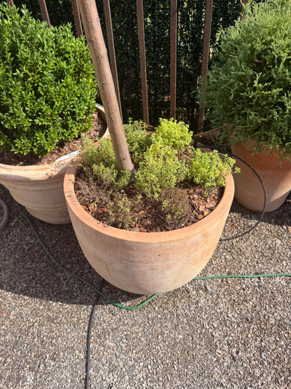 Causago Round Planter