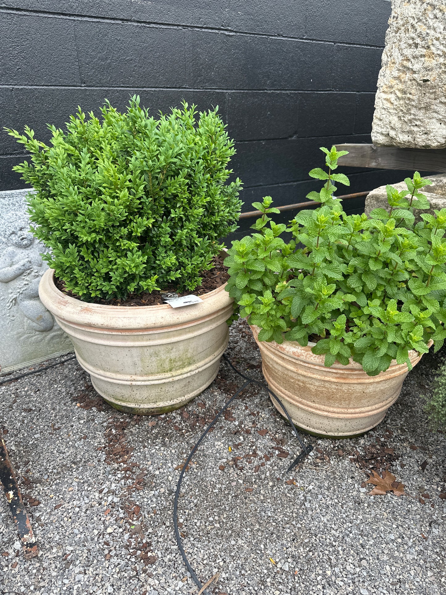 Pair of Planters