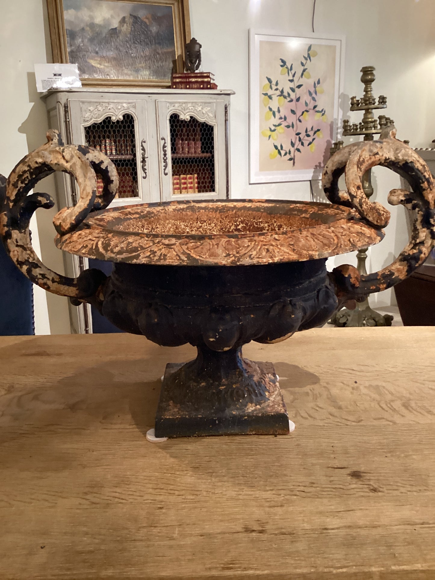 Pair of Cast Iron Planters