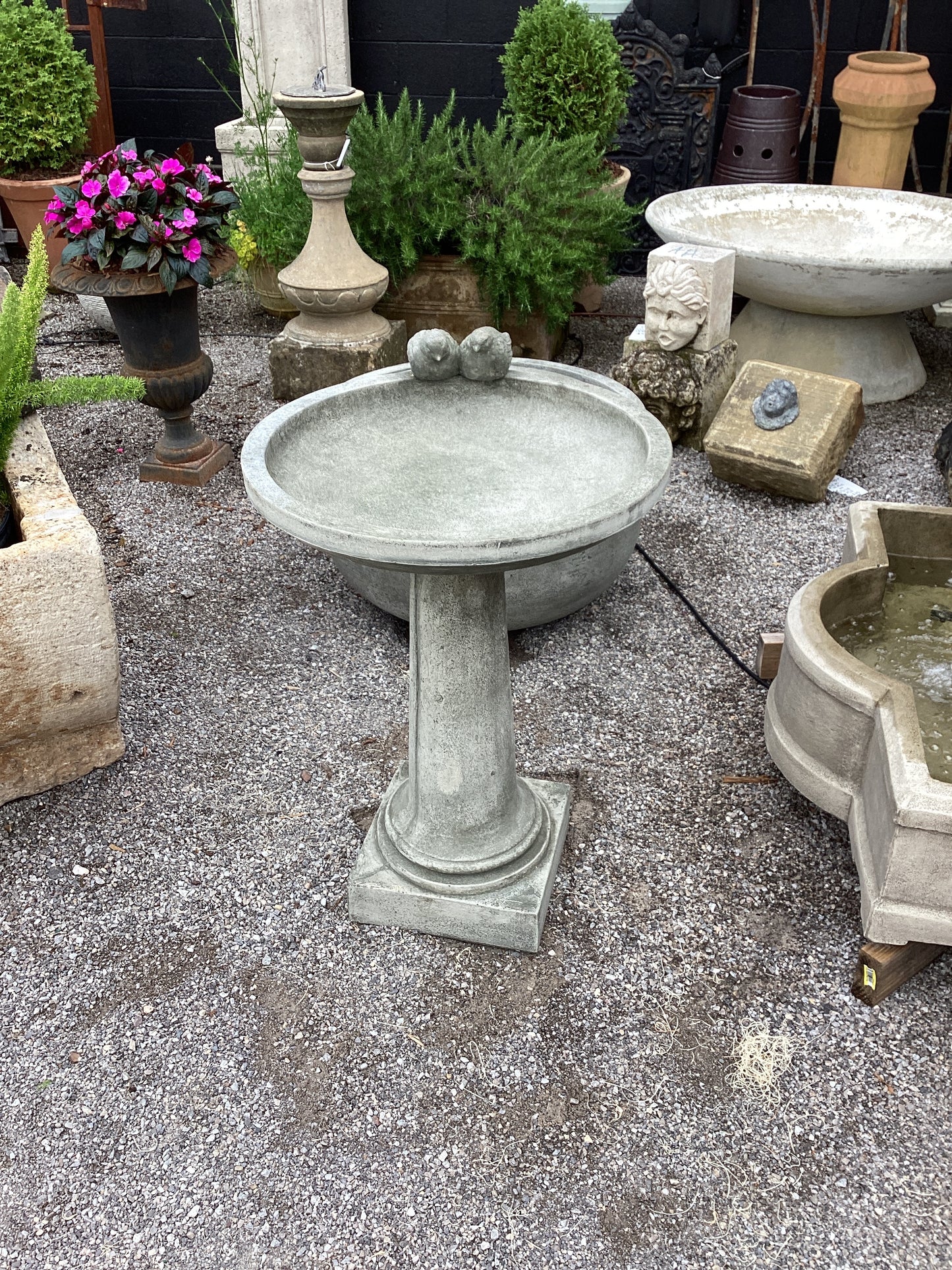 Juliet Bird Bath