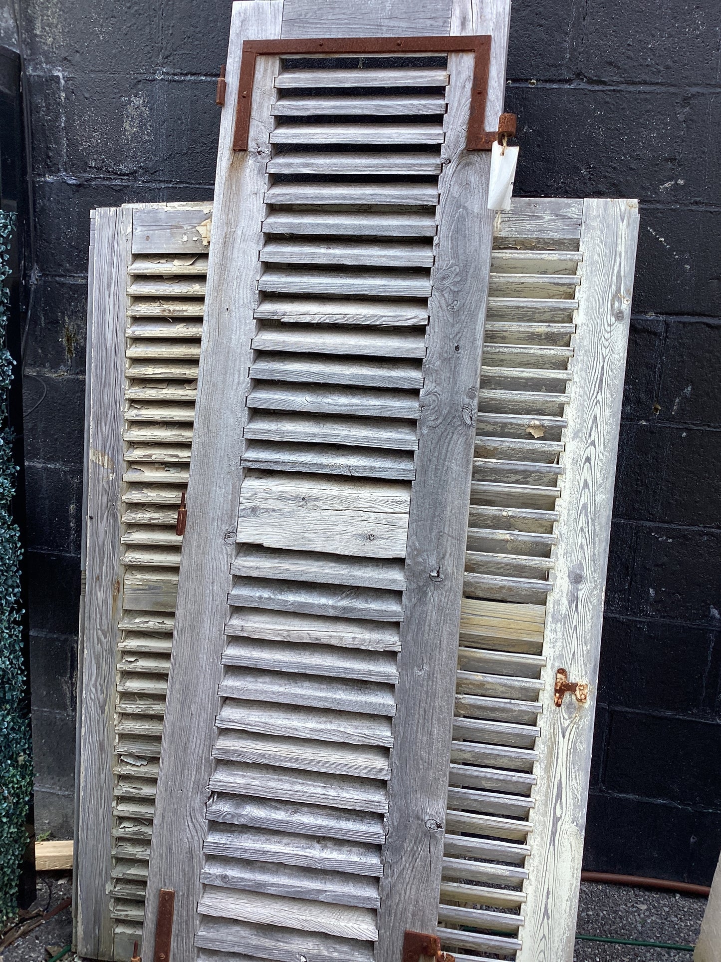 Antique Shutter