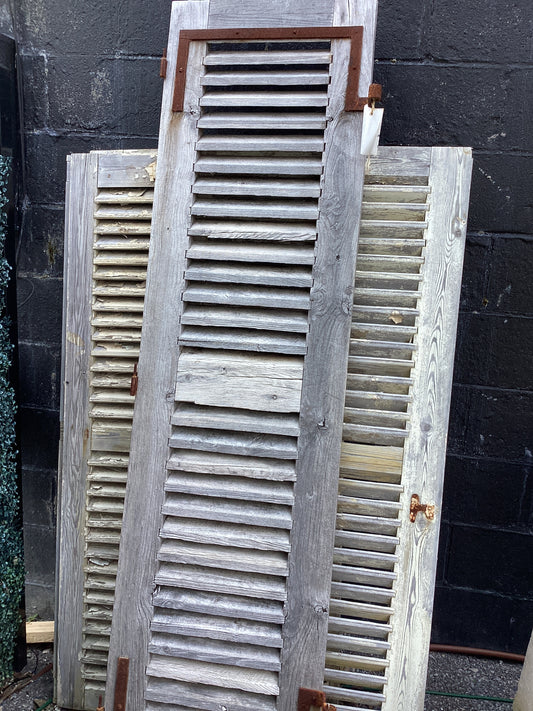Antique Shutter