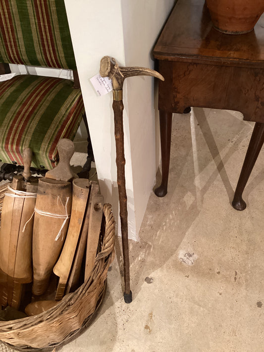 Ornate Antler Handle Cane