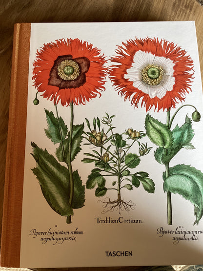 Botanical Box Set