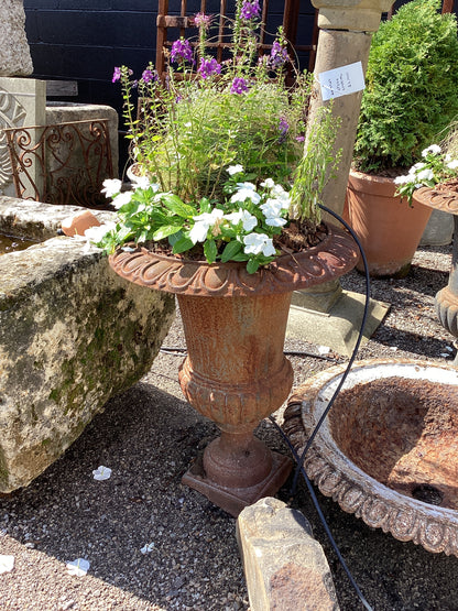 Pair of English Urns