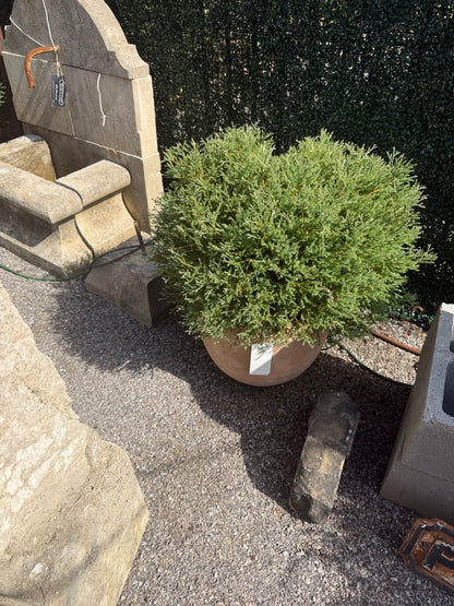 Causago Round Planter