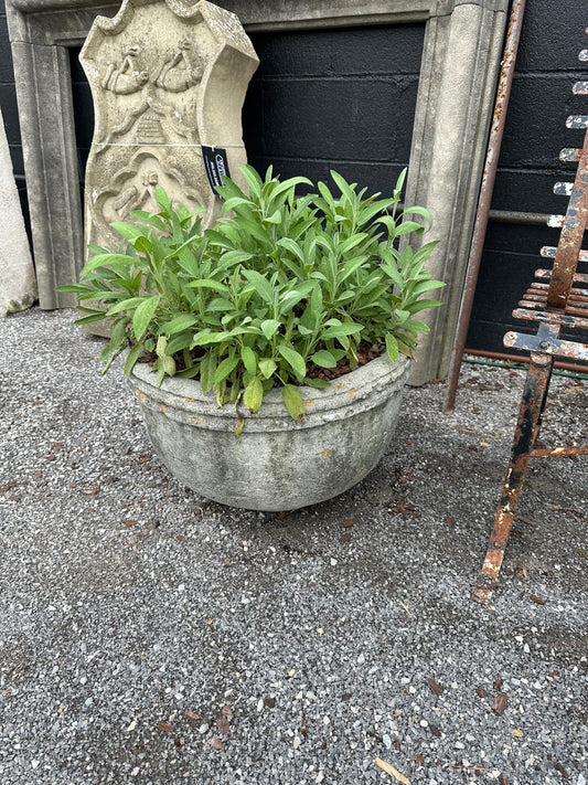 Pair of Stone Planters