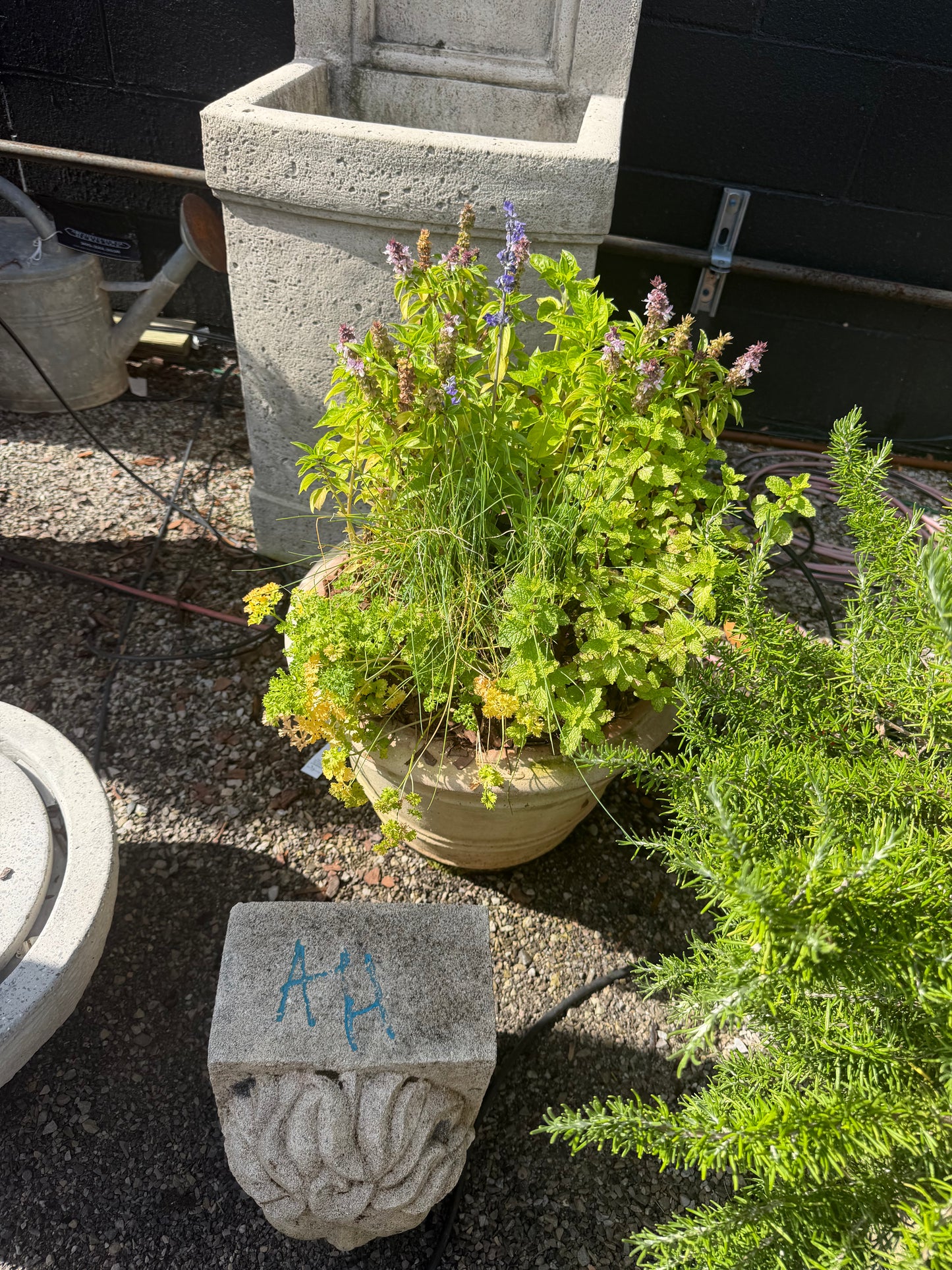 Classic Orangerie Planter