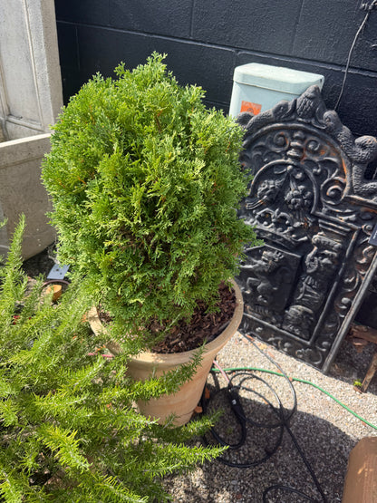Usuki Terracotta Planter