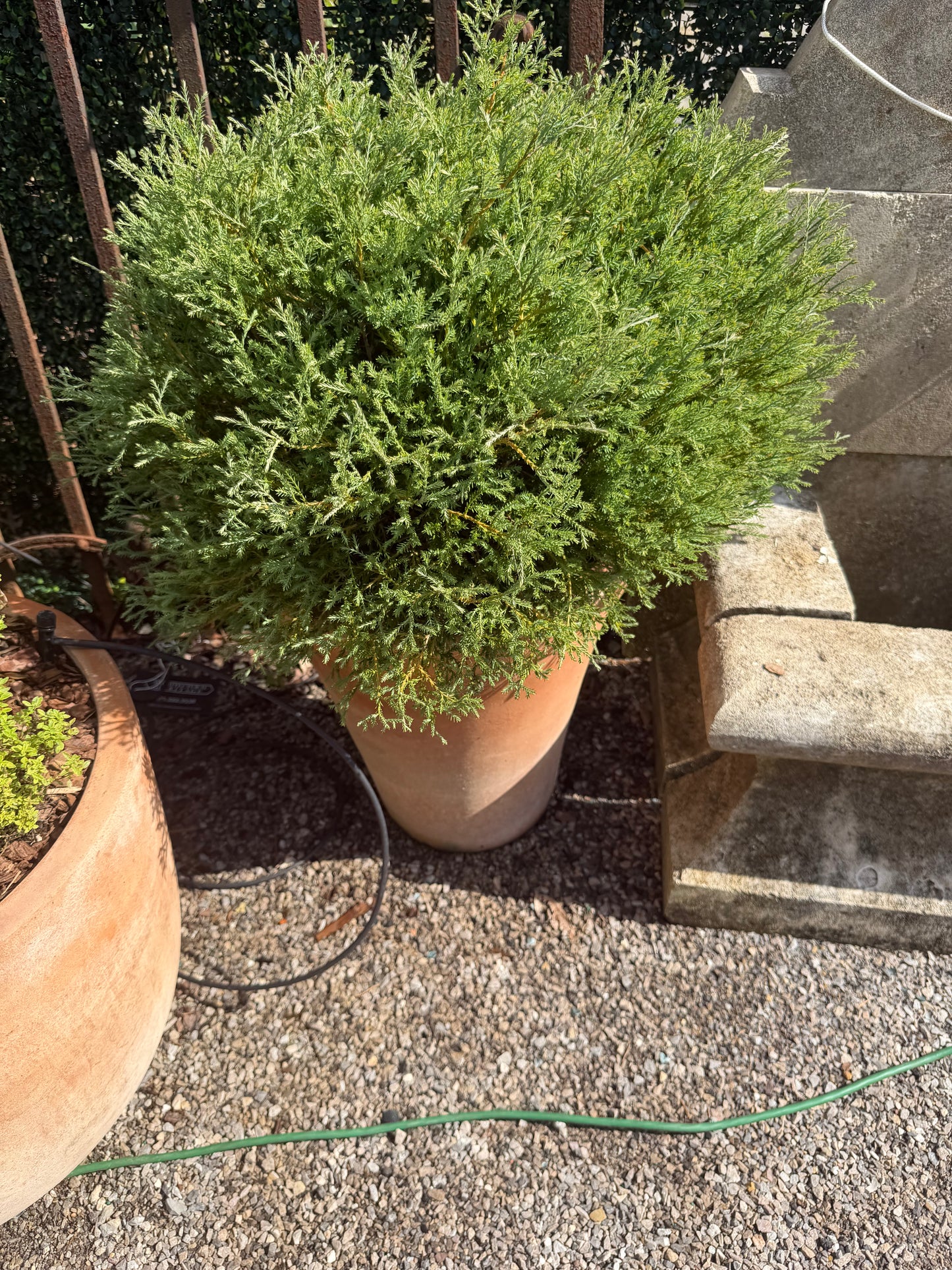 Usuki Terracotta Planter