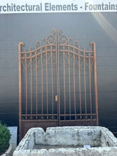 Pair of Iron Gates