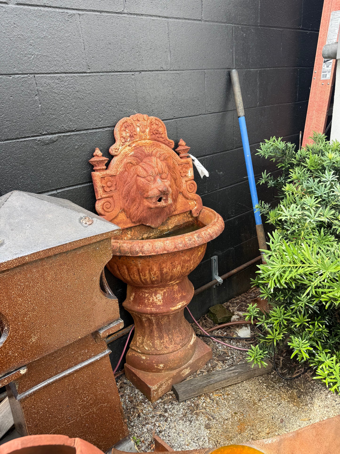 Lion Head Fountain